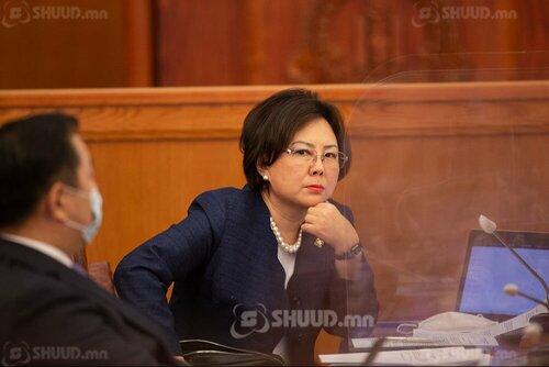 С.Одонтуяа: Сонгогчиддоо ул боов, чихэр жимс тараадгаа болимоор байна